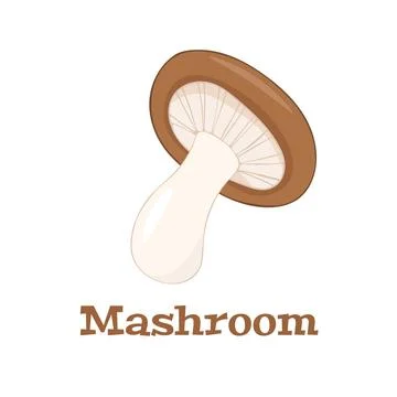 Hand drawn color vector white mushroom on a white background Stock Illustration
