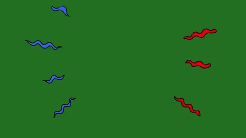 Hand-Drawn Colorful Squiggle Line Accents on Green Screen | Red and Blue Wavy  Stock Footage 330467177