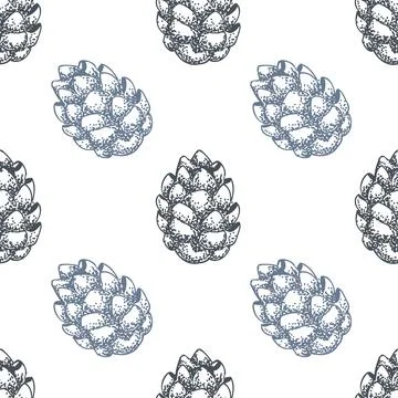 Hand drawn cone seamless pattern on white background, cone, needles, hand draw Stock Illustration