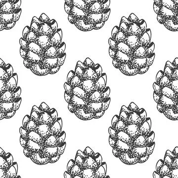 Hand drawn cone seamless pattern on white background, cone, needles, hand draw Stock Illustration