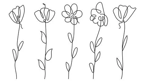 Hand drawn continuous line art drawing flowers botanical elements vector il.. Stock Illustration