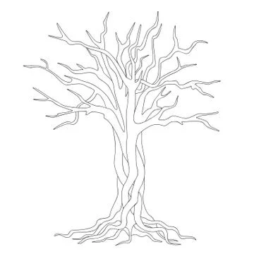 Hand drawn contour of tree Stock Illustration