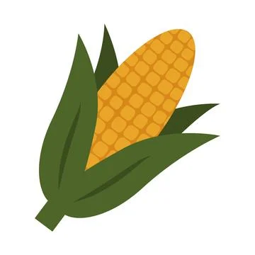 Hand Drawn Corn head with green leaves Sticker Icon Pictogram Kwanzaa Holiday Illustrazione stock