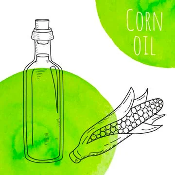 Hand drawn corn oil bottle with green watercolor spots Stock Illustration