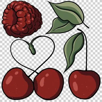 Hand drawn couple of cherries, raspberry, heart, leaves,transparsparent bg Stock Illustration