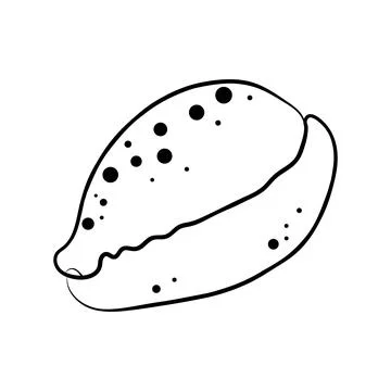 Hand drawn cowrie seashell with dots vector illustration line art element イラスト素材