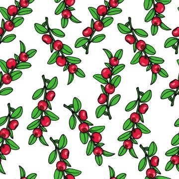 Hand drawn cranberry pattern Stock Illustration