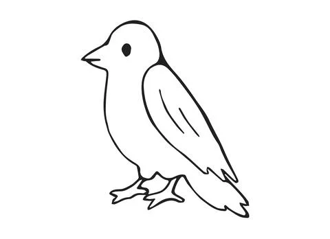 Hand Drawn Crow Bird Standing Side View Line Art Doodle Illustration for Na.. Stock Illustration