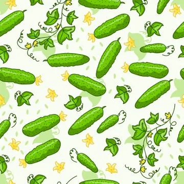 Hand drawn cucumber Stockillustratie