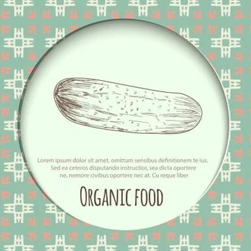 Hand drawn cucumber over white background Stock Illustration