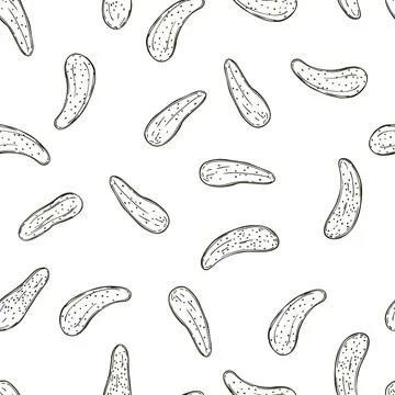 Hand drawn cucumbers gherkins. Vector  seamless pattern Stock Illustration