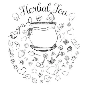 Hand drawn a cup, different herbs, plants, berries and birds. 스톡 일러스트