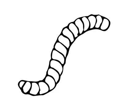 Hand Drawn Curled Worm Line Art Doodle Illustration for Nature Garden and H.. Stock Illustration