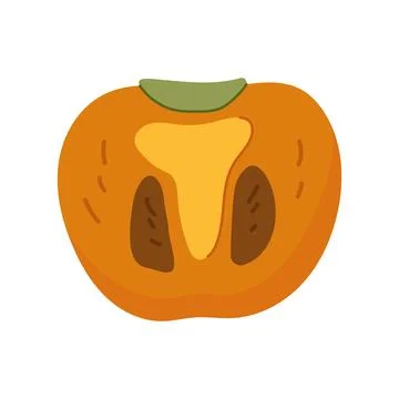 Hand drawn cut half of orange persimmon fruit vector illustration Stock Illustration