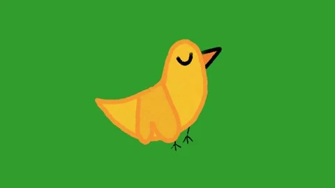 Hand Drawn Cute Bird Animation on Green Screen | 2D Hand Drawn Doodle Style Stock Footage 328988679