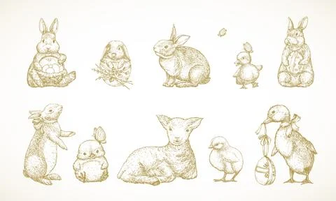 Hand Drawn Cute Easter AnimalsVector Illustrations Set. Little Rabbits, Ducks Stock Illustration