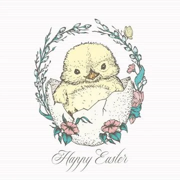 Hand Drawn Cute Easter Chick Vector Illustration. Little Chicken in an Egg with Stock Illustration