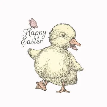 Hand Drawn Cute Easter Duckling Vector Color Illustration. Little Duck dancing Stock Illustration