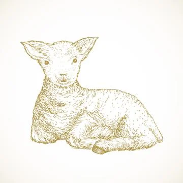 Hand Drawn Cute Easter Lamb Vector Illustration. Little Sheep Abstract Sketch Stock Illustration