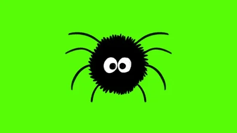 Hand-Drawn Cute Fluffy Spider Animation on Green Screen Stock Footage 318410186