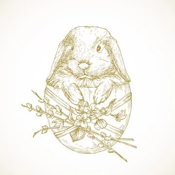 Hand Drawn Cute Little Easter Bunny Vector Illustration. New Born Rabbit in Egg Stock Illustration