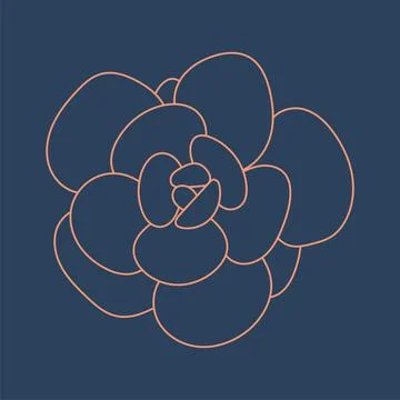 Hand drawn cute succulent, doodle style. Graphic sketch home flower echeveria. Stock Illustration