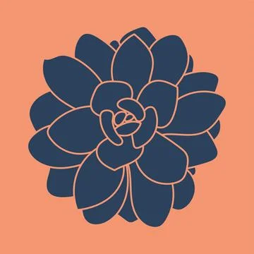 Hand drawn cute succulent pattern. Graphic sketch home flower. Logo and icon for Stock Illustration