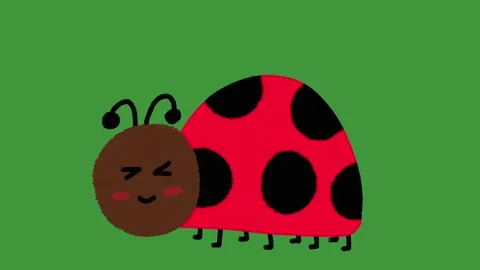 Hand Drawn Cute Walking Bug Animation | 2D Doodle Style Spring Insect Motion Stock Footage 329940918