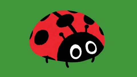 Hand Drawn Cute Walking Bug Animation | 2D Doodle Style Spring Insect Motion Vidéo 329940925