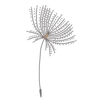 Hand-drawn dandelion. Design elements for Valentines Day. Vector illustration Stock Illustration