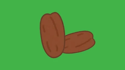 Hand Drawn Dates Fruit Animation on Green Screen | 2D Hand Drawn Doodle Style  Video stock 328988658