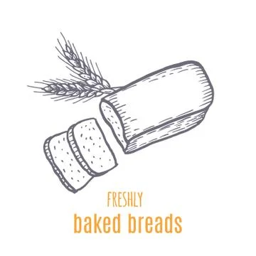 Hand drawn decorative bread bakery . Vector Illustration. Stock Illustration