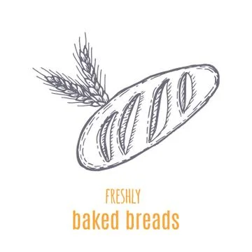 Hand drawn decorative bread bakery . Vector Illustration. Stock Illustration