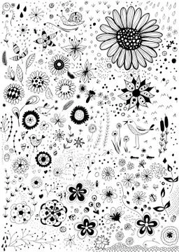 Hand -drawn decorative elements for design Stock Illustration