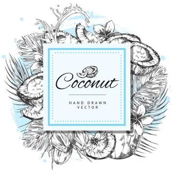 Hand drawn decorative frame with coconuts sketch style, vector illustration Stock Illustration