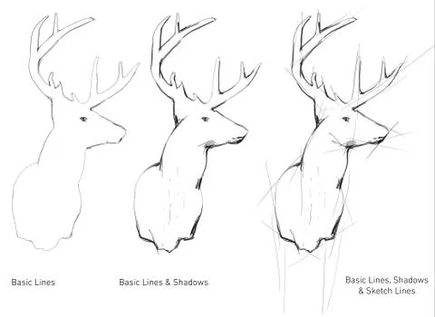 Hand drawn deer trophy Stock Illustration