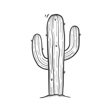 Hand drawn desert cactus element Stock Illustration