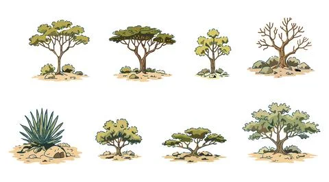 Hand Drawn Desert Tree Collection Vector Illustration Set Stock Illustration
