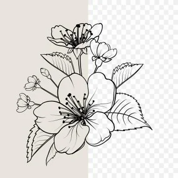 Hand drawn design elements sakura flowers collection. Stock Illustration