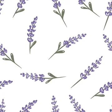Hand drawn design seamless pattern with lavender sprigs on a white background Stock-Illustration