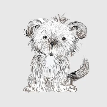 Hand drawn dog Stock Illustration