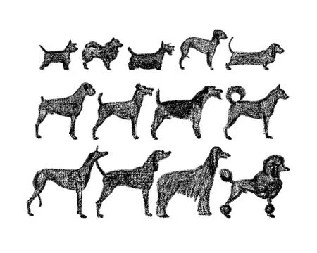 Hand drawn dogs Illustrazione stock