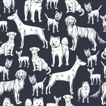 Hand drawn dogs.  Vector seamless pattern Stock Illustration