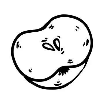 Hand drawn doodle apple half illustration in vector style. Stock Illustration