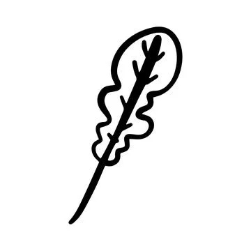 Hand-drawn doodle arugula leaf illustration isolated on a white background... Stock Illustration