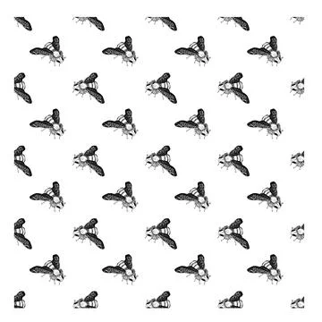 Hand drawn doodle bee. Vector illustration. Seamless pattern. Stock Illustration