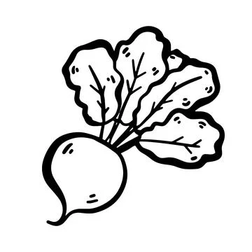 Hand-drawn doodle beetroot illustration isolated on a white background. Sim.. Stock Illustration