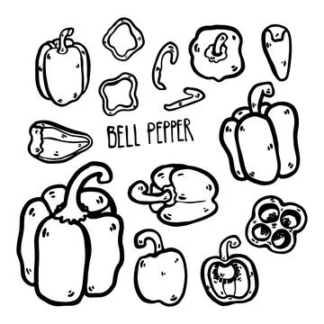 Hand drawn doodle bell pepper illustration. Stock Illustration