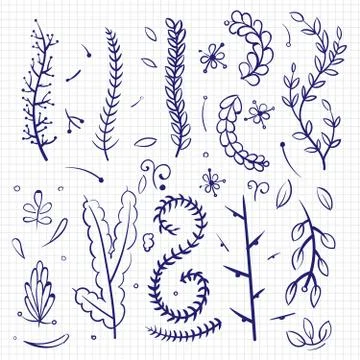 Hand drawn doodle branches and decorative elements 스톡 일러스트