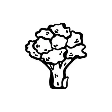 Hand-drawn doodle broccoli illustration isolated on a white background. Sim.. Stock Illustration